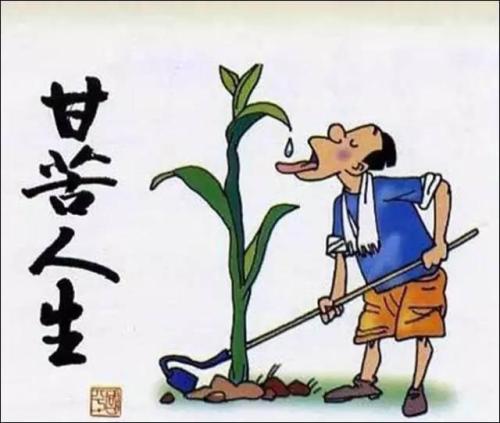 忘却红尘且举杯（作者： 周  波）