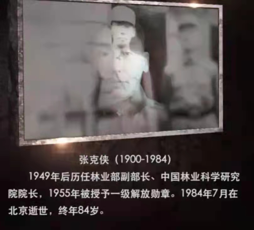 英雄的赞歌：系列诗（作者：郑彦芹）
