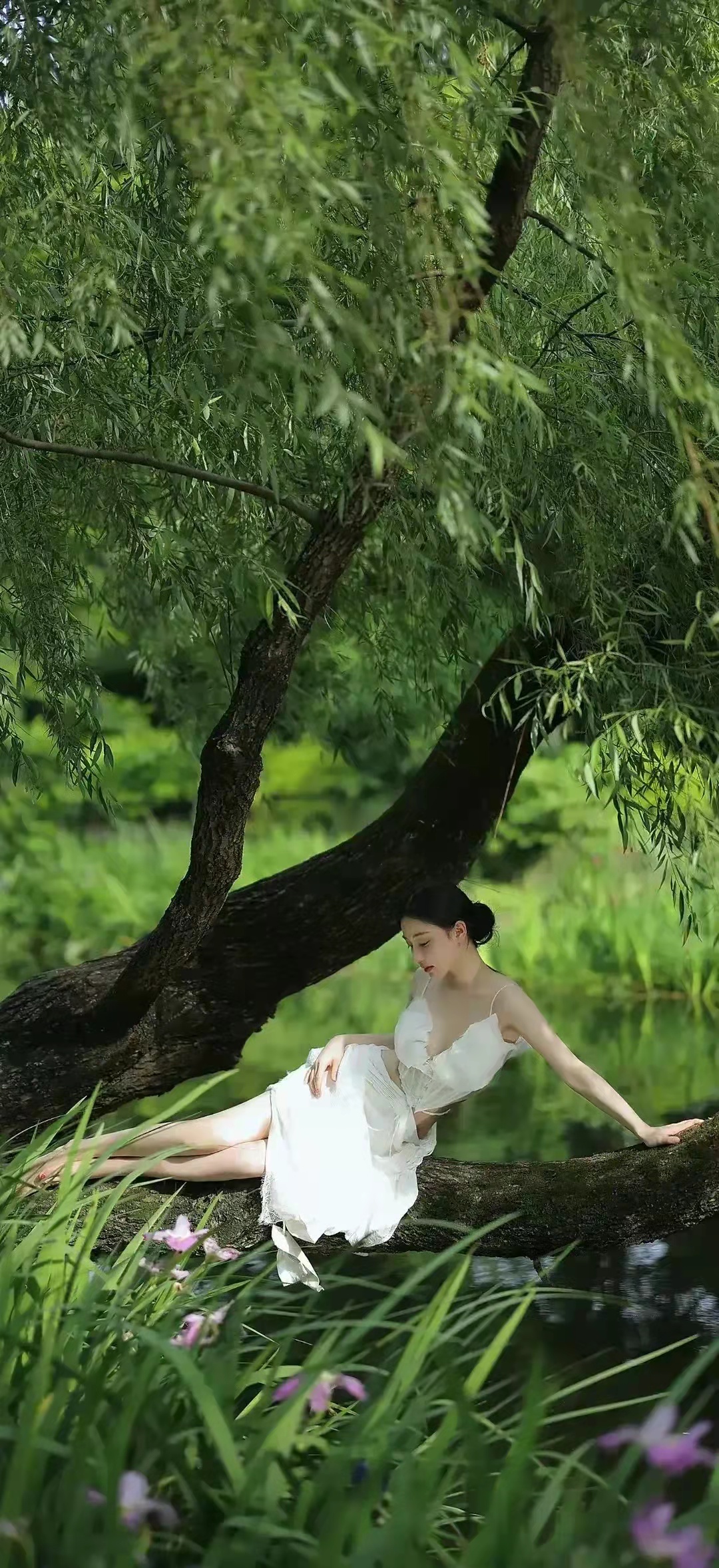 心恋：小说连载（作者：黄兴洲）