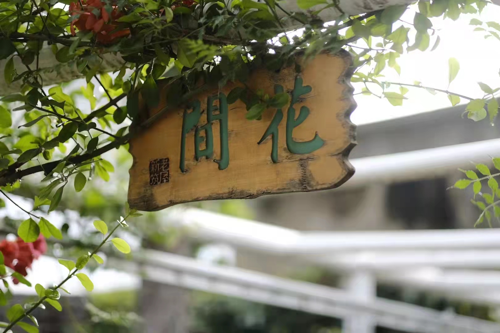 老了想想“人生荒野”（作者： 周 波）