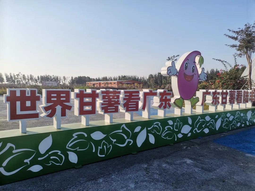 另眼看陆丰（作者：林友侨）
