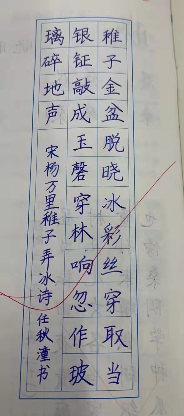 江苏省邳州市运师附小五年级学生硬笔书法欣赏（邳州文化网独家推出）