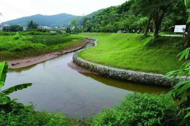 莺啼序·初春闲赋 （作者：梁成超）