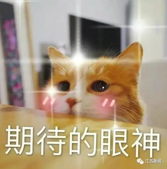 苏康码、行程卡、48小时核酸……来回切切切？三码可以一屏显示了！： 彭城创客
