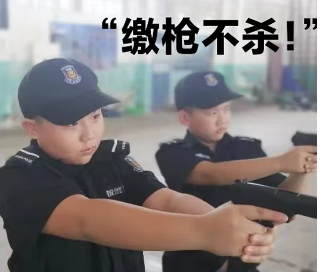 “特特务”！“抓特特务” | 作者 刘企华