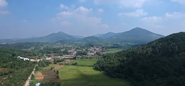 坳劳子传 | 作者 陈洪颐