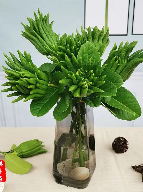 追忆李殿毅先生 （作者：伏晓）