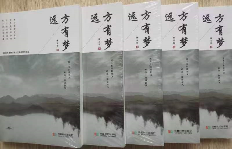远方同梦（作者：付金荣）