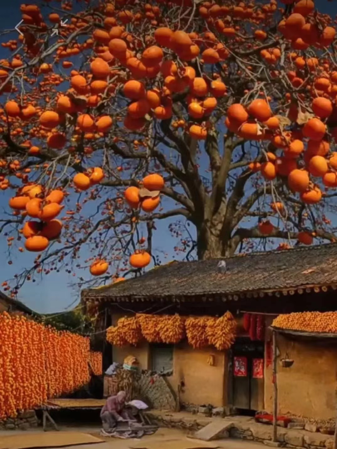 得到 ：文/黄海昇