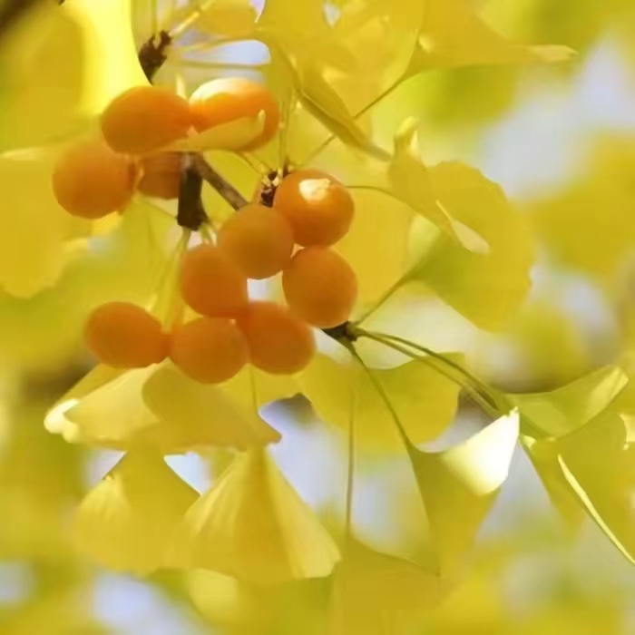 诗二首（作者：马兴无）