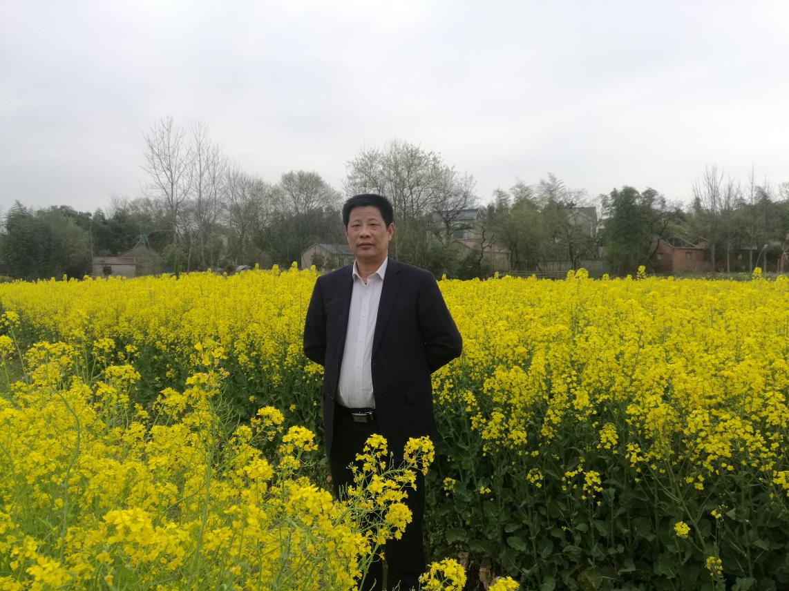 感人泪下  催人奋进  喜见梦圆 ——读林友侨先生《远方有梦》有感 ：文/王延林