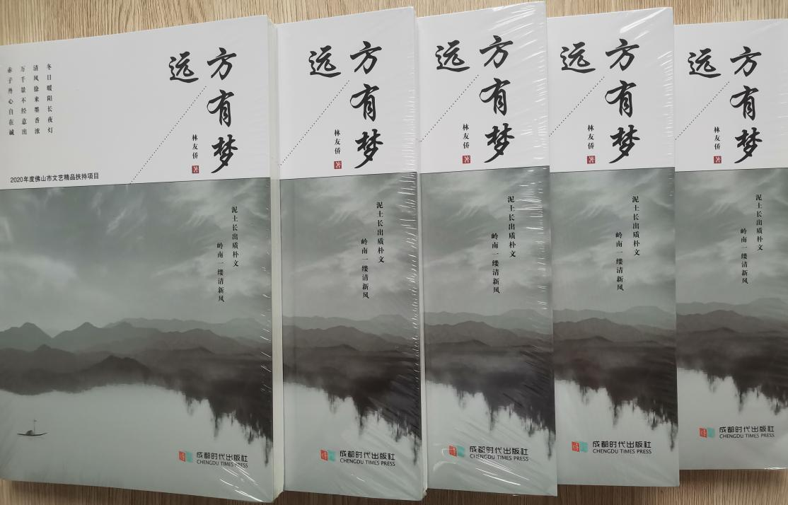 感人泪下  催人奋进  喜见梦圆 ——读林友侨先生《远方有梦》有感 ：文/王延林