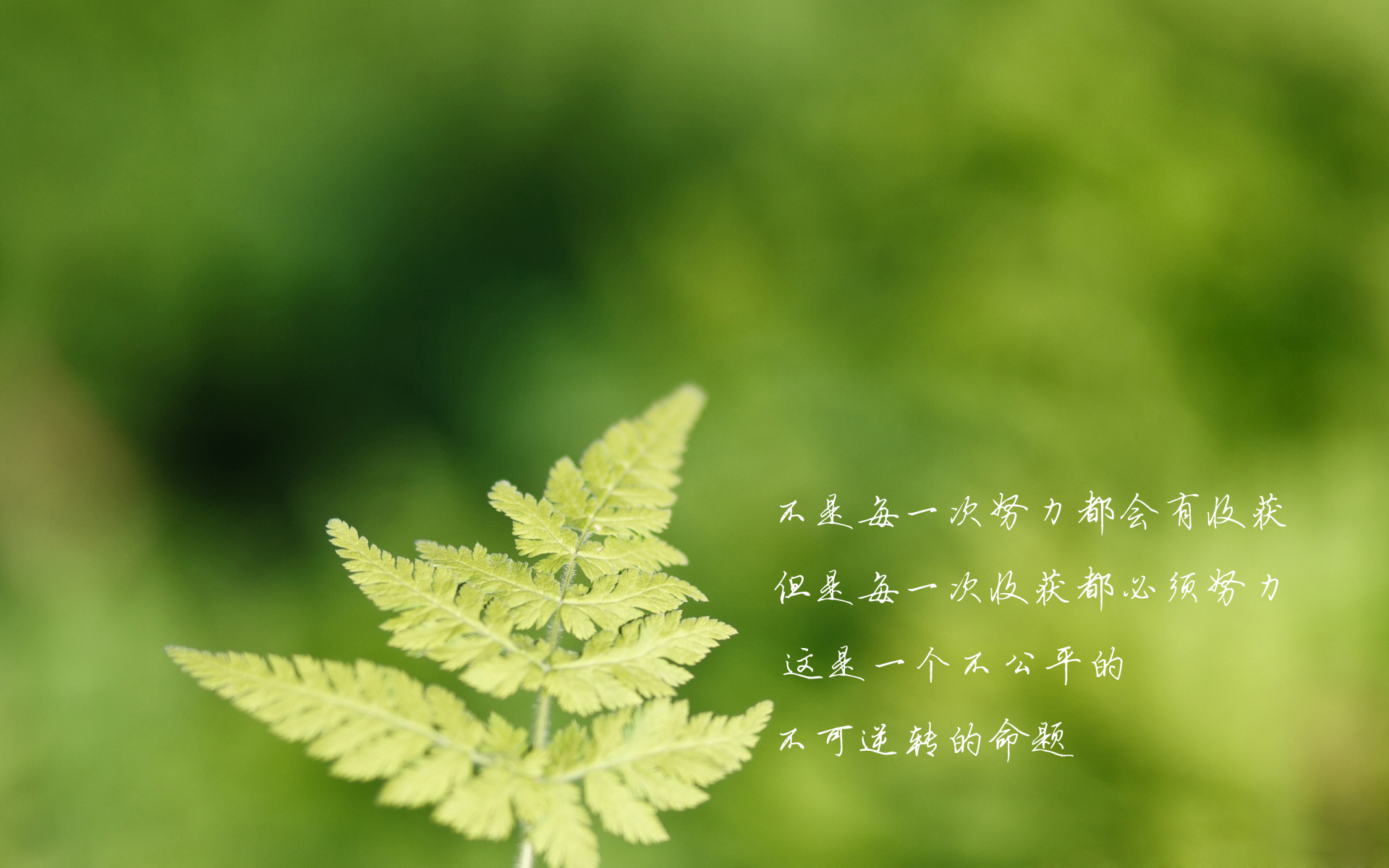 随记/心语（作者：邹芬）