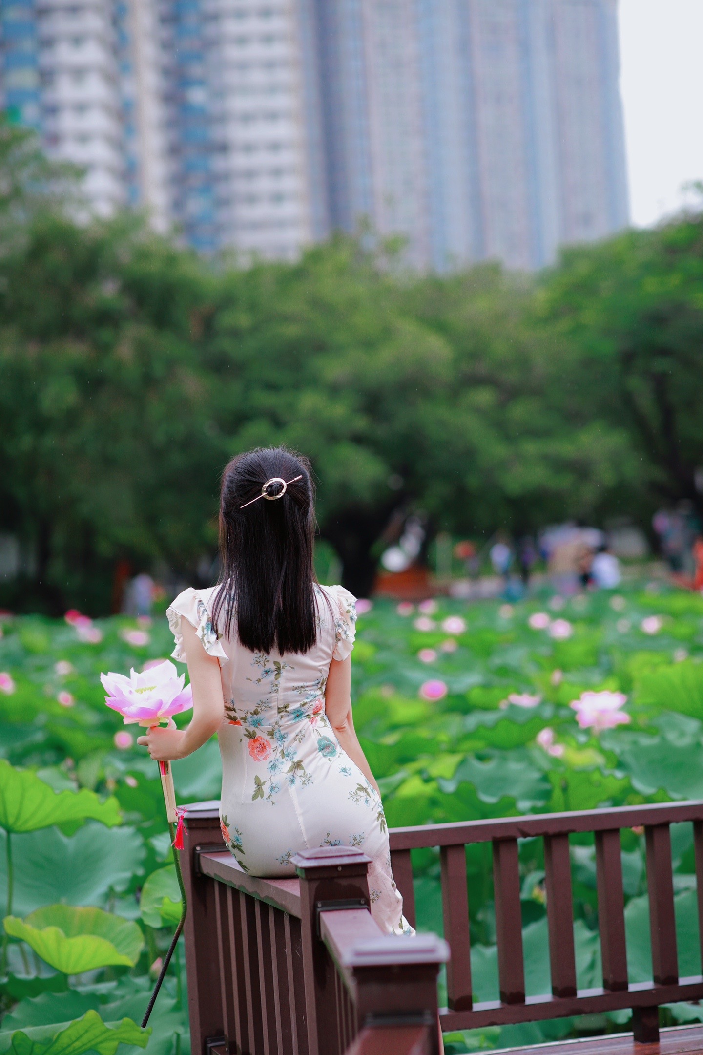 寄村里姑娘小芳 （作者：童心未泯）