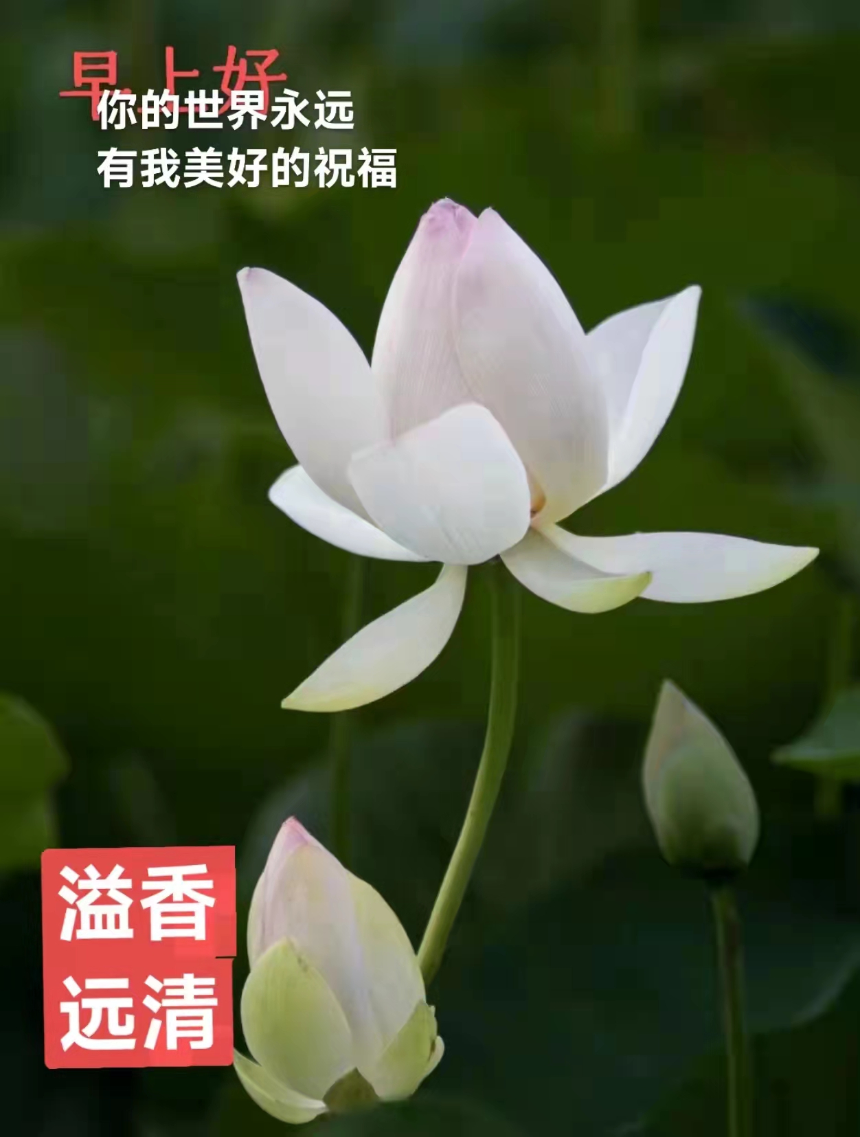 诗四首（文/黄兴洲、周峰）