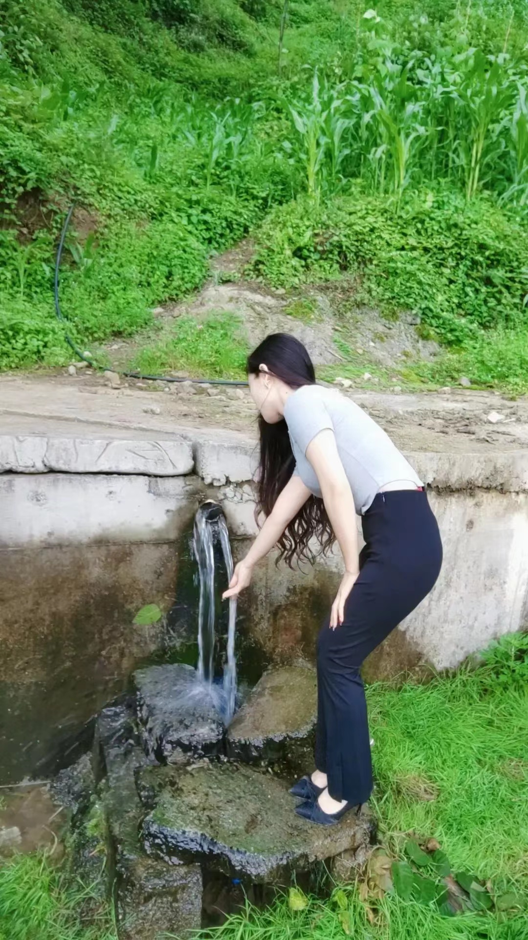 春风袅娜·宛风中思念 （作者:聊斋书生)