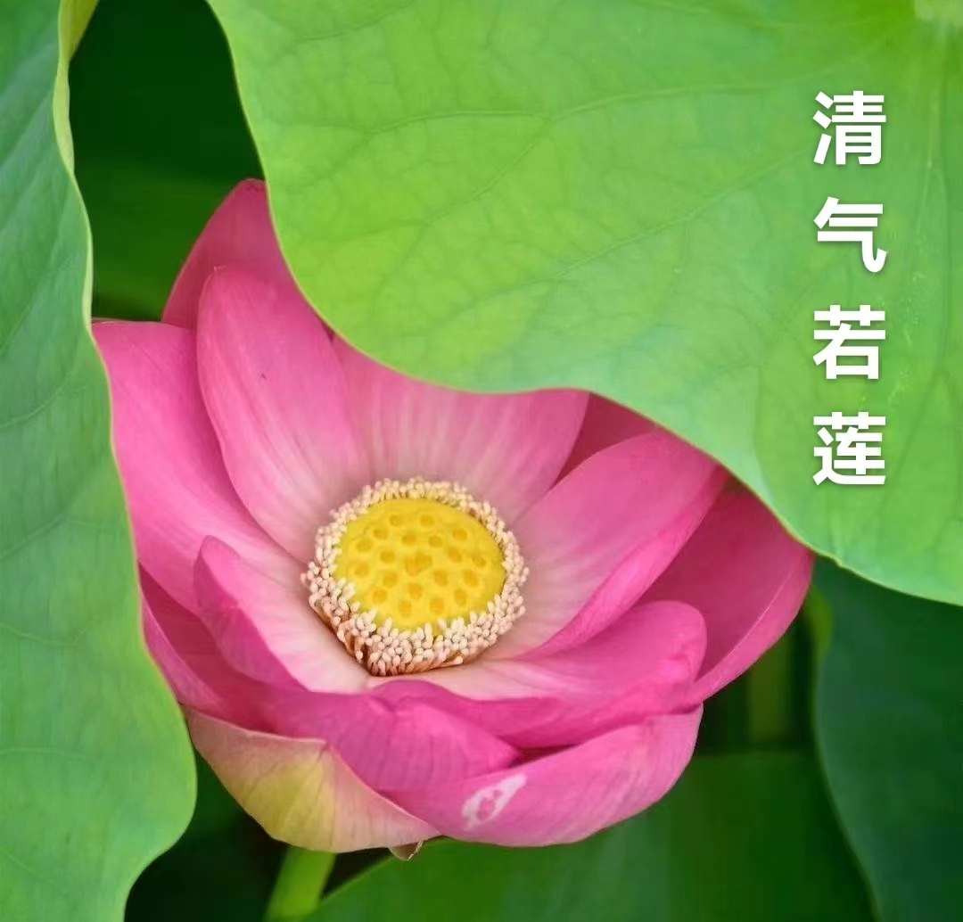 诗三首：文/李斌