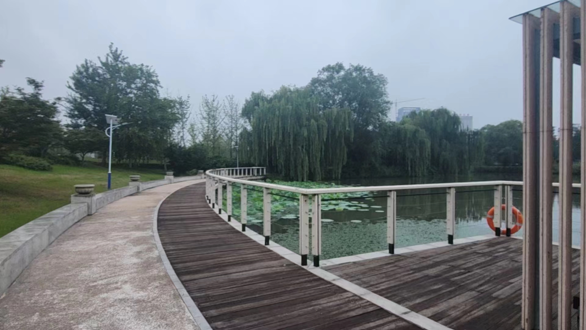蝶恋花•九凤园观荷 （通韵）柳召振