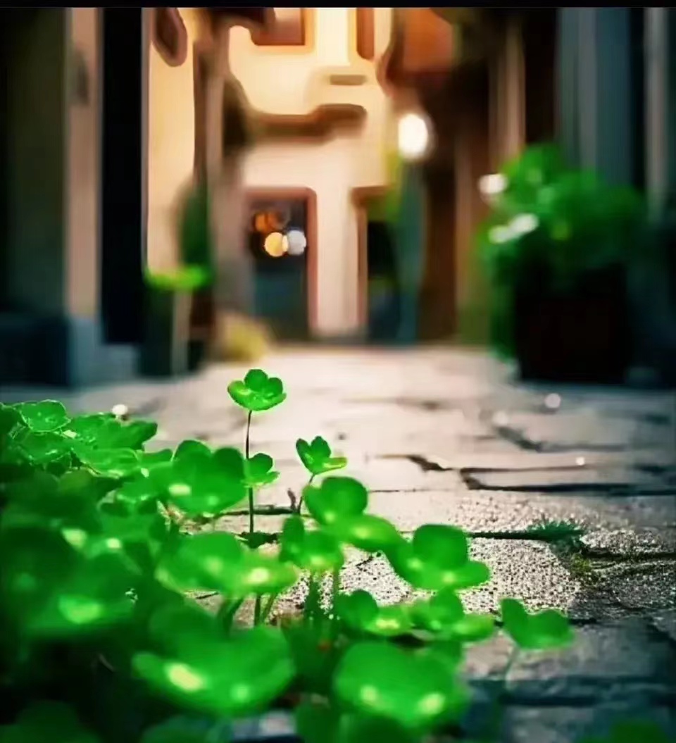 诗二首（作者：胡振遐）