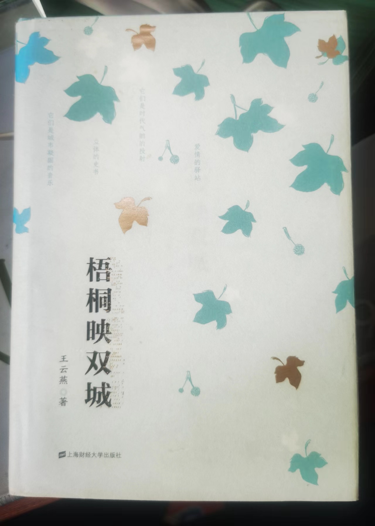 拓印历史斑驳   发掘城市文化 ------读《梧桐映双城》（作者：曹永会）