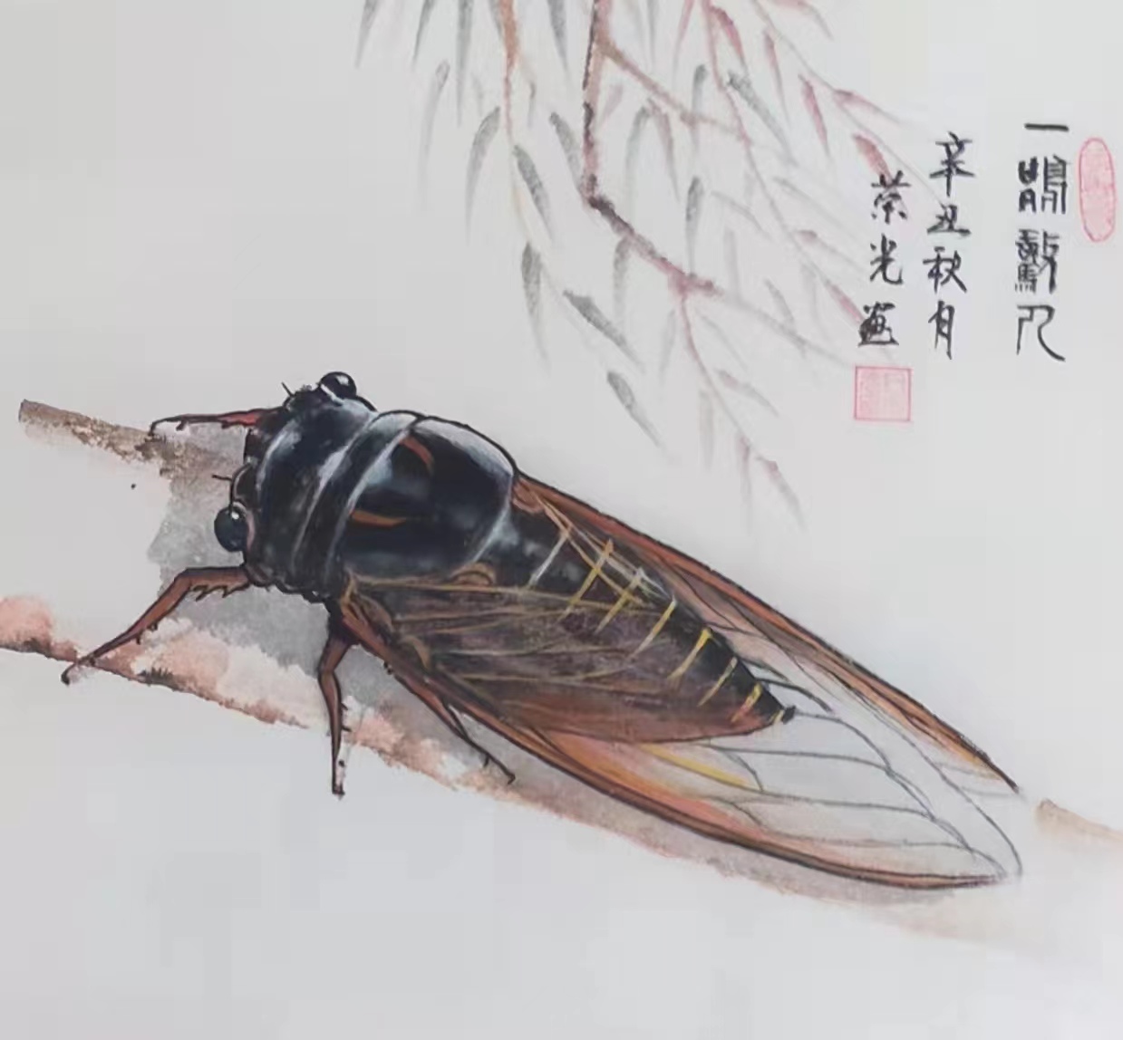 蝉 吴国荣（上海）