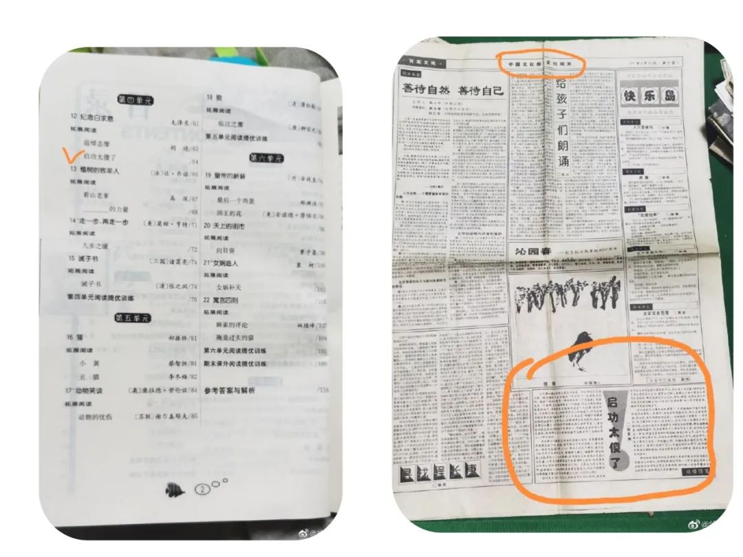 28年前发表《启功太傻了》的尴尬事与如今入选教辅 （作者：徐景洲）