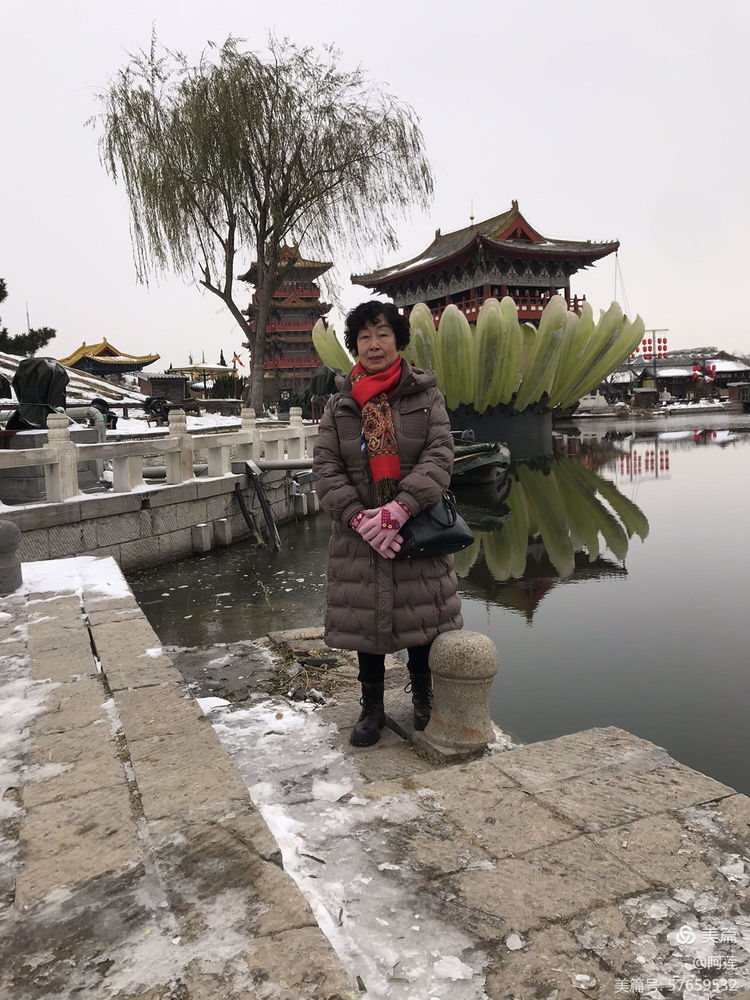 东京梦华（作者：阿莲）
