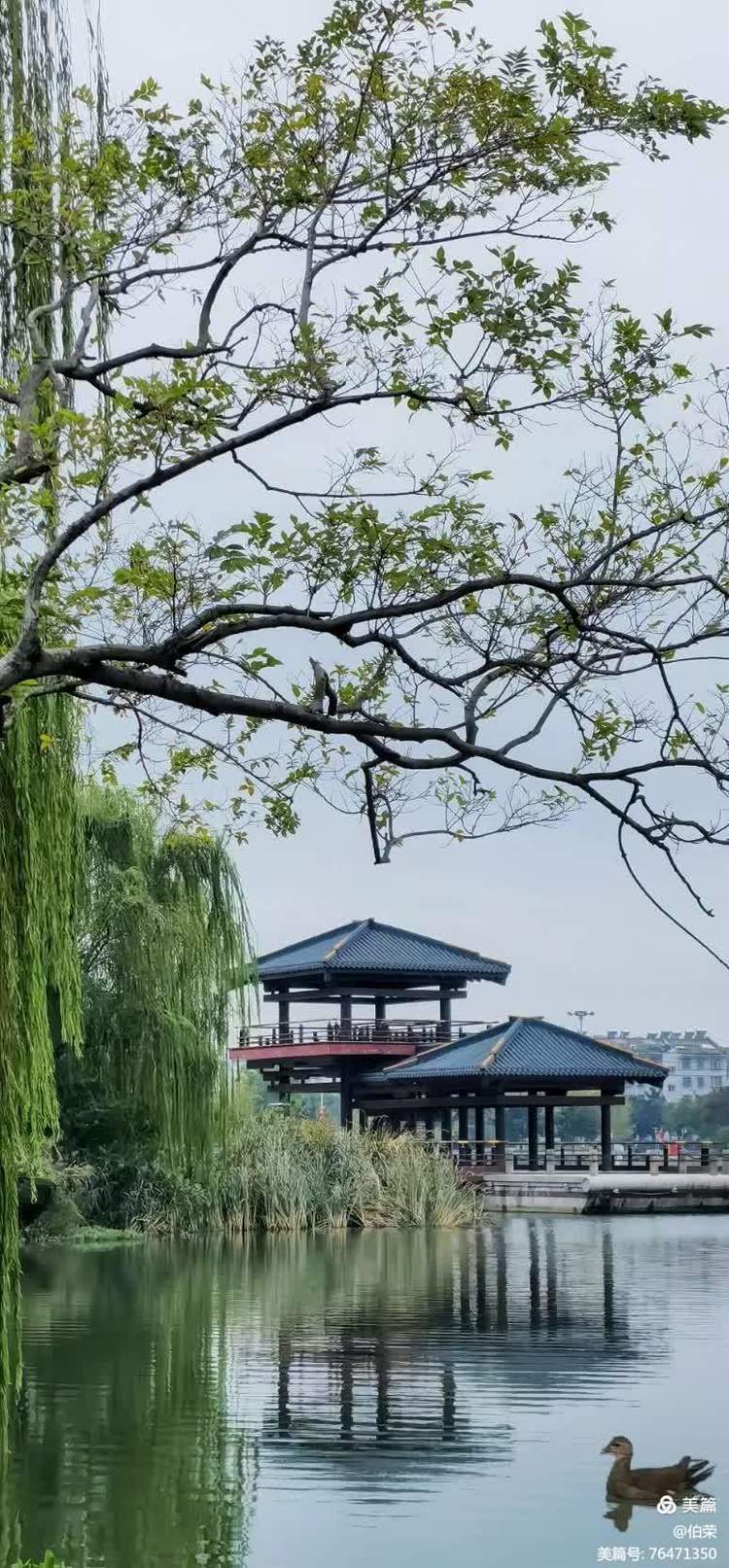 瞬间（文、摄影/朱伯荣、陈正平）