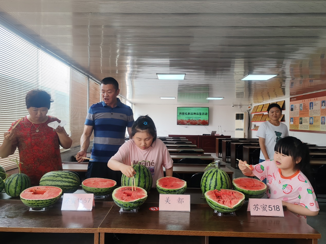 甜蜜来袭！邳州西甜瓜新品种上市！