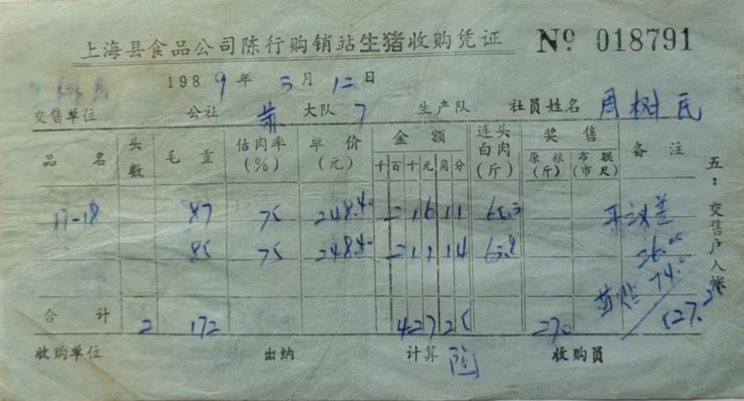 我的养猪经历