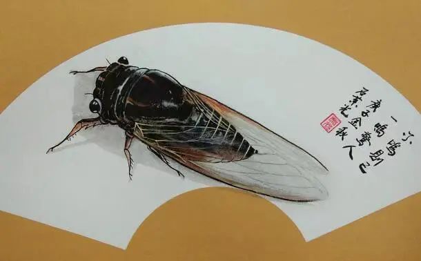 画蝉高手在民间