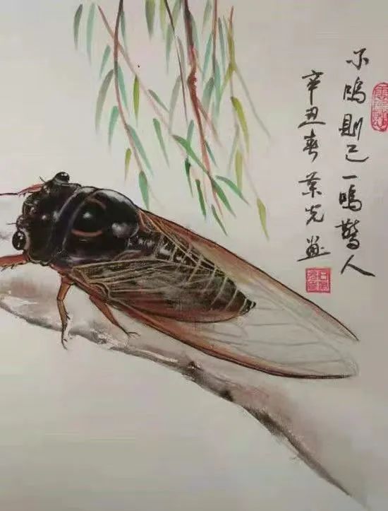 画蝉高手在民间