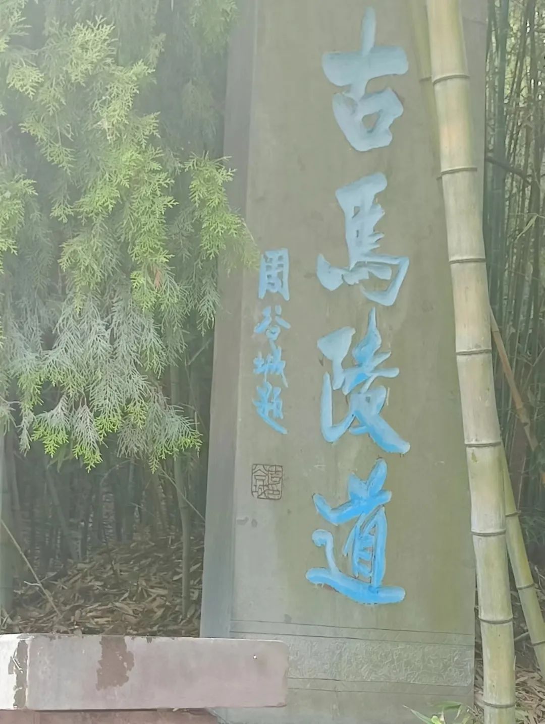 生命因爱而感动