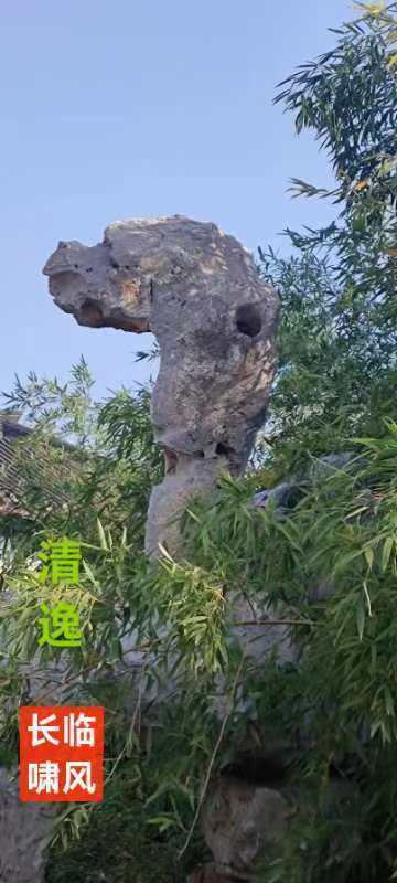 闲趣藏头诗一组