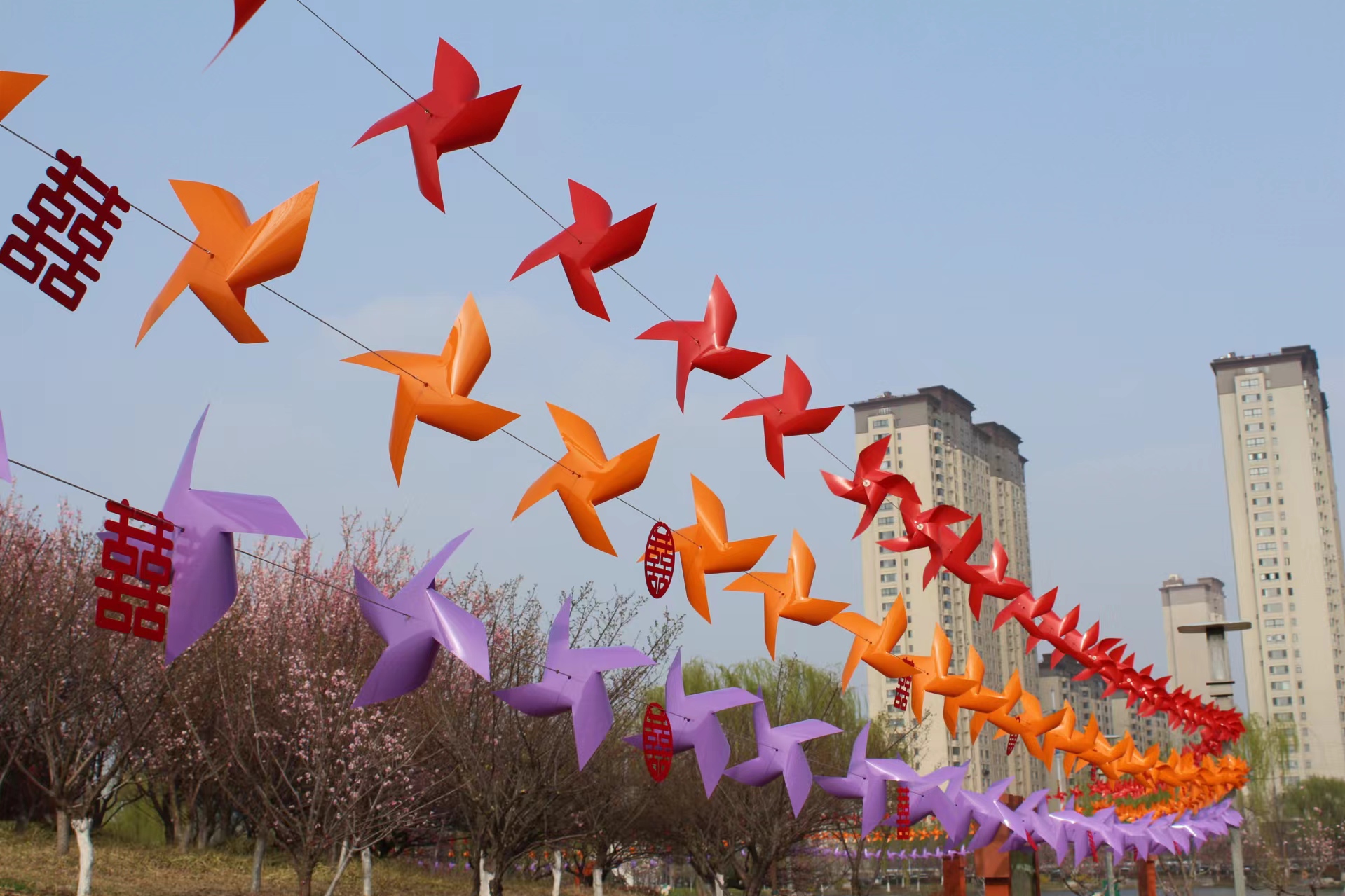 爱与浪漫的新地标——邳州市桃花岛公园式婚姻登记处
