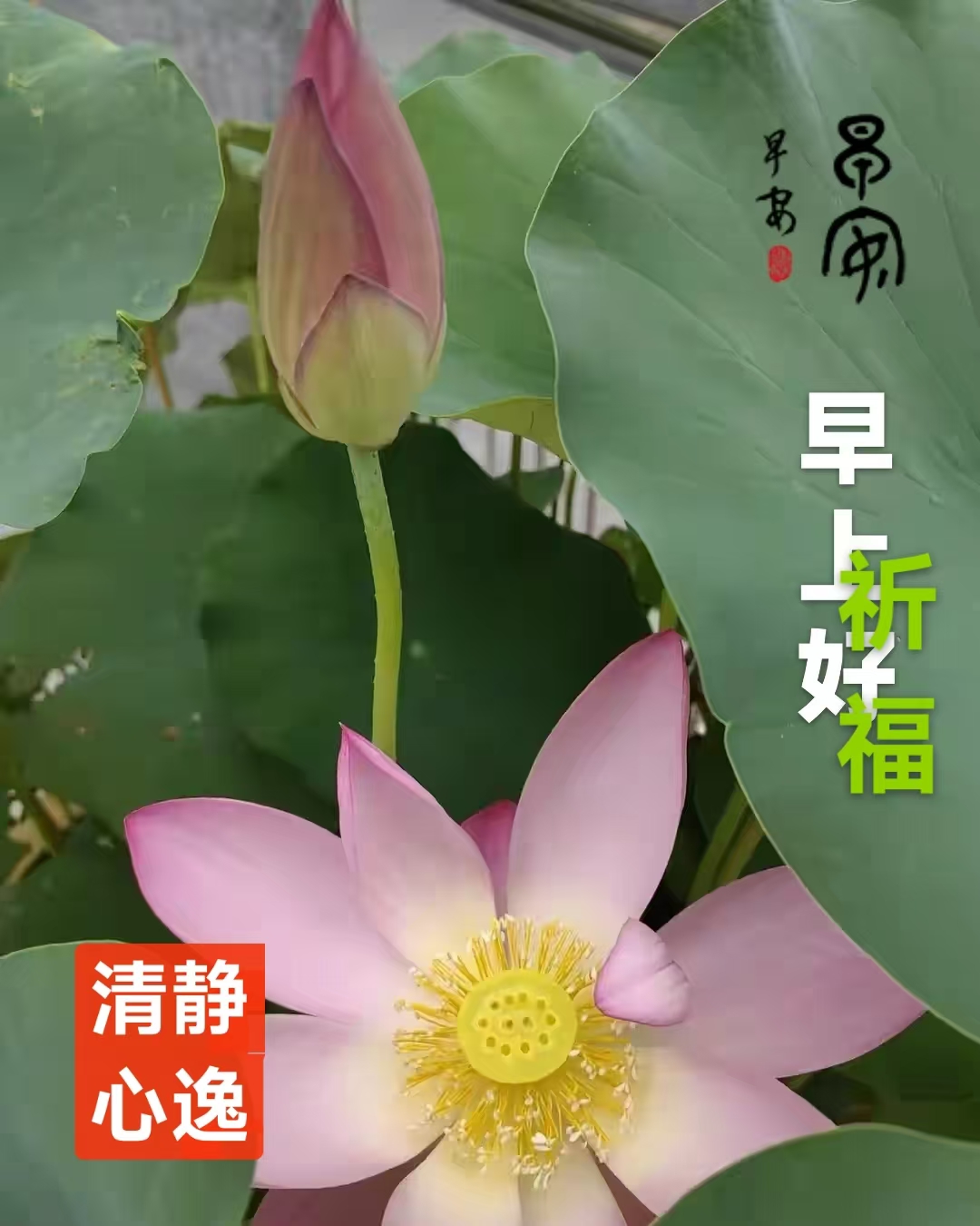 闲趣藏头诗一组