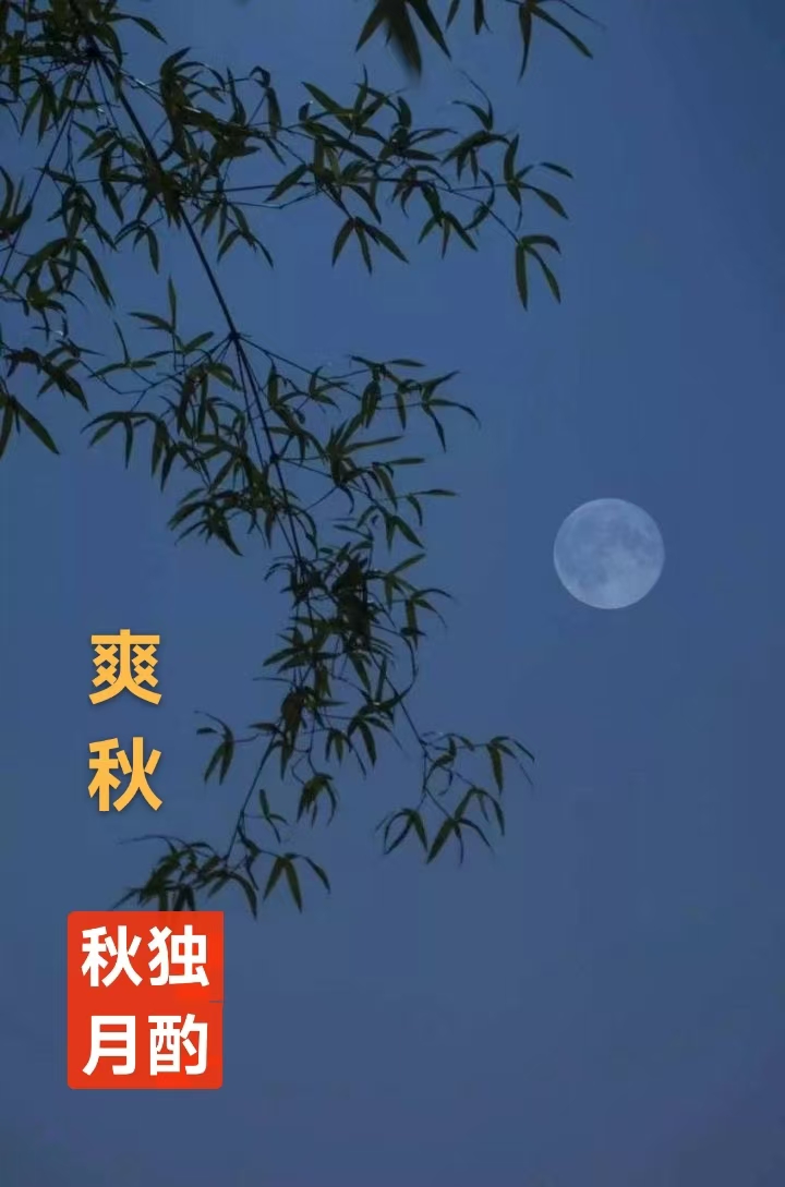 趣味藏头诗一组