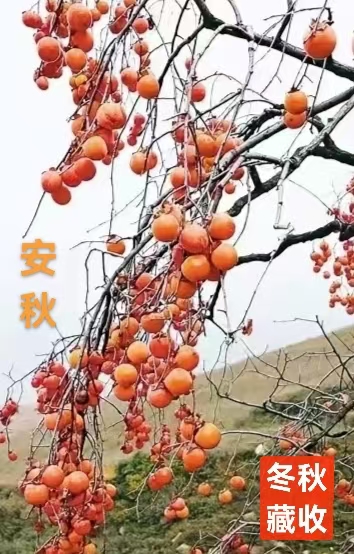 闲趣藏头诗一组