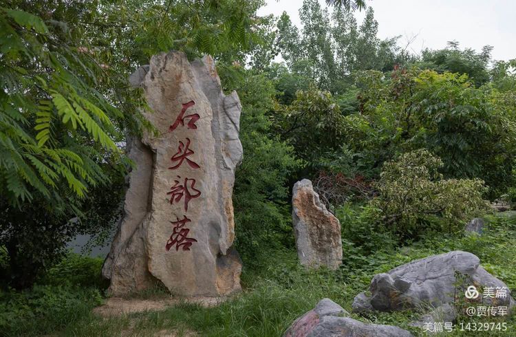 美丽运河我的家系列连载：河边藏着的石头部落