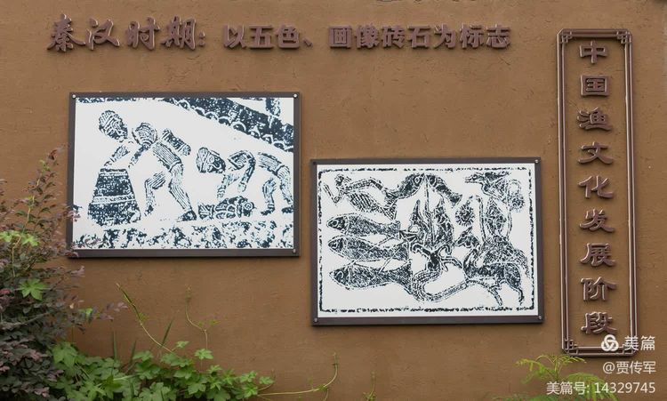 美丽运河我的家系列连载：河边藏着的石头部落