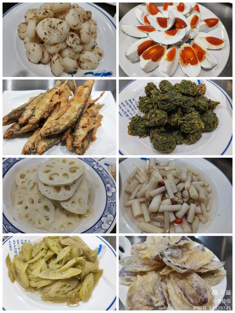 美丽运河我的家系列连载：河边藏着的石头部落