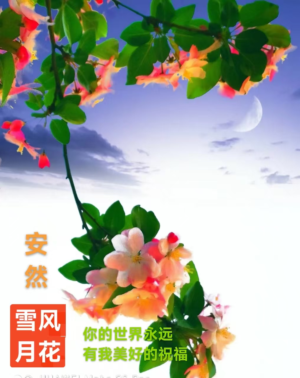 趣味藏头诗一组