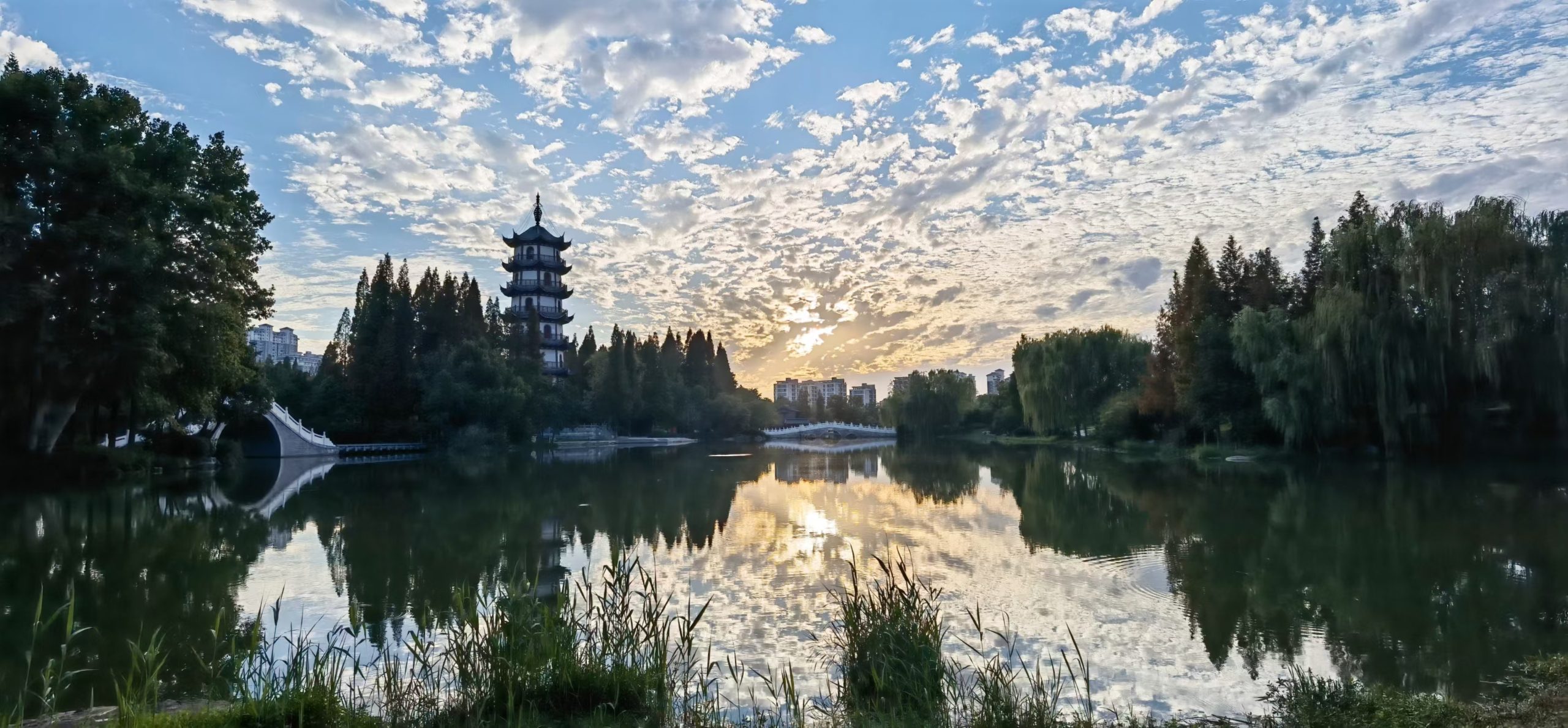 桃花岛的幸福旋律