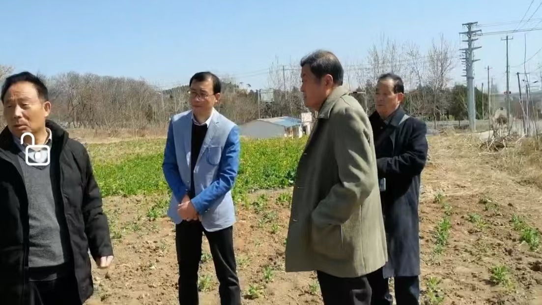 难忘戴庄之旅