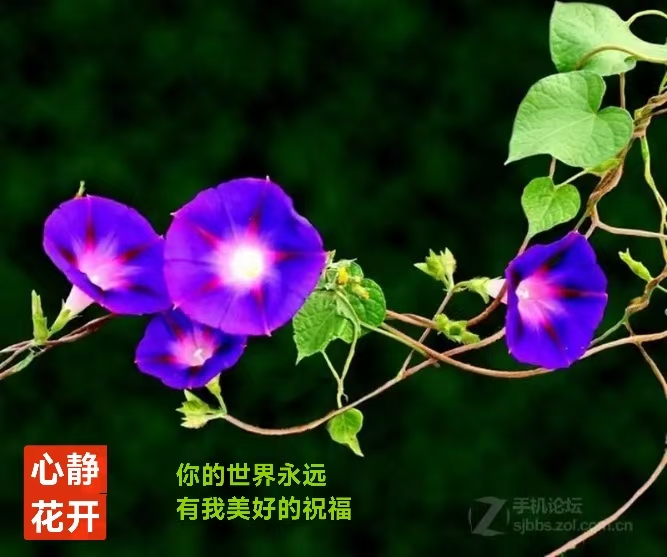 趣味藏头诗一组