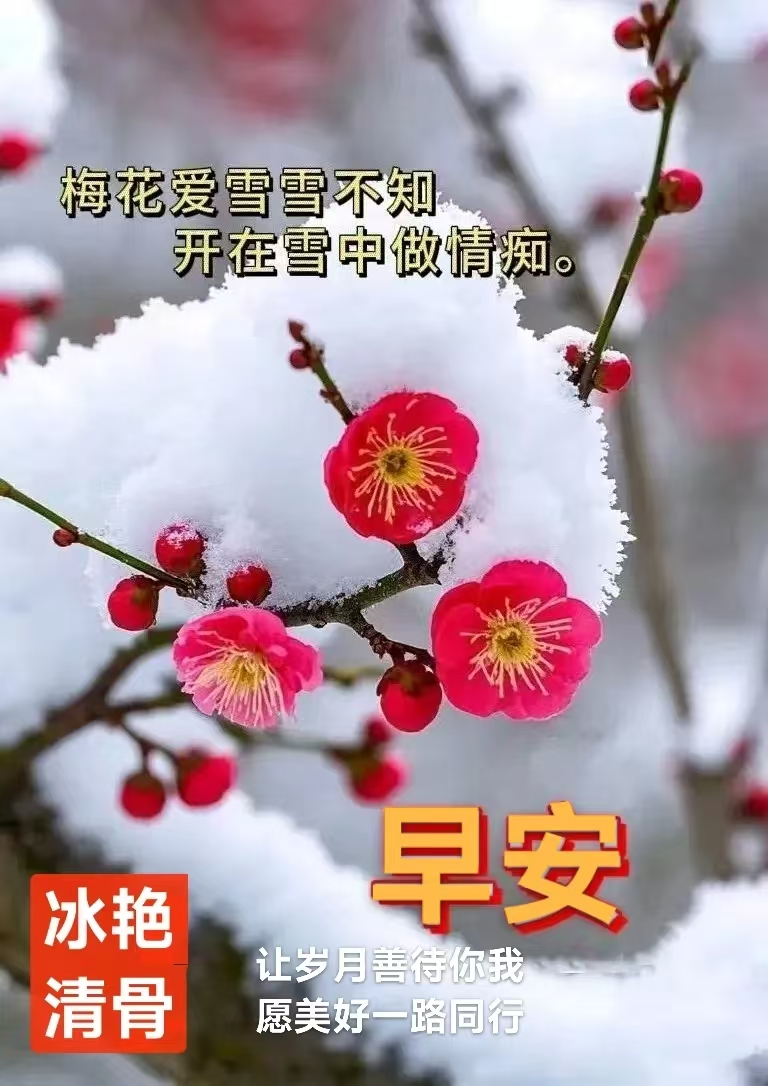 趣味藏头诗一组