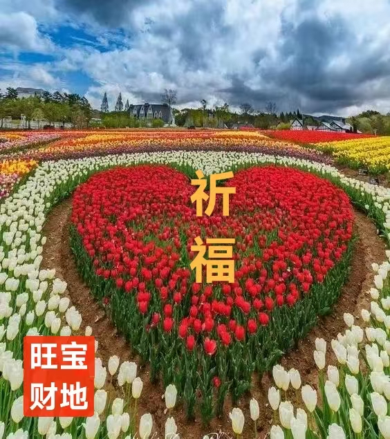 趣味藏头诗一组
