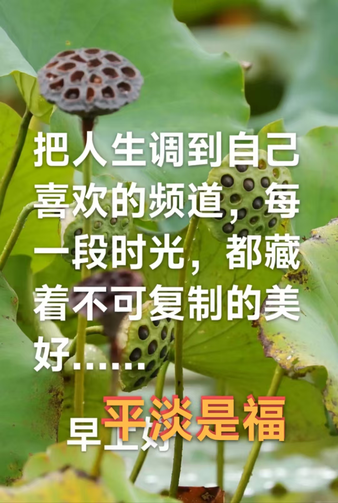 趣味藏头诗一组