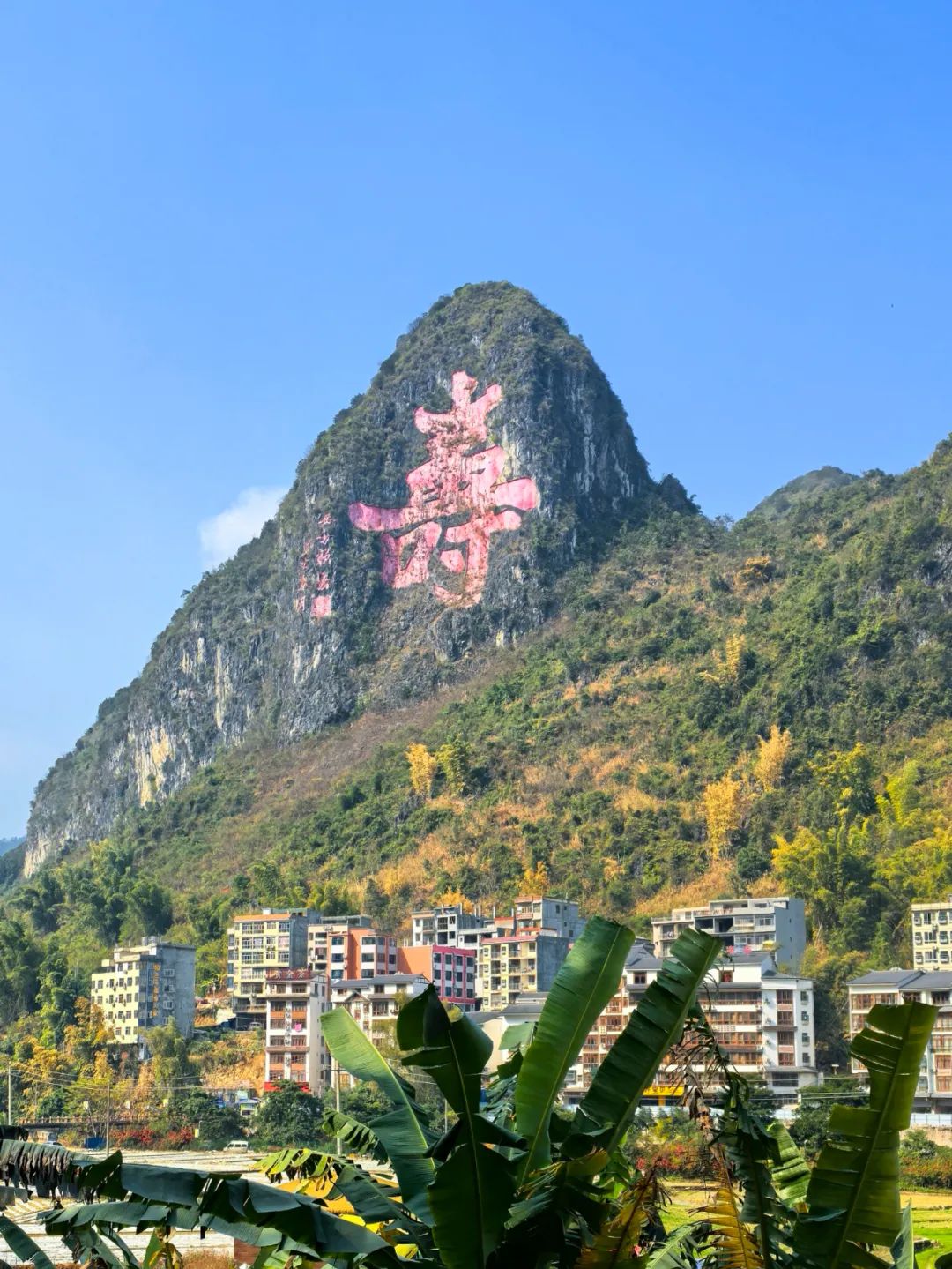 蛇年春节两广游记之一：游览世界长寿之乡巴马