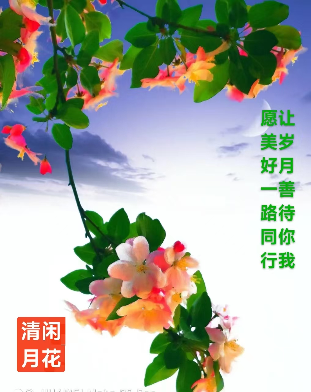 趣味藏头诗一组
